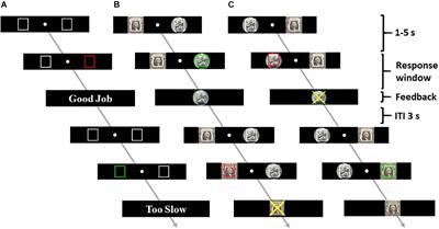 Age-Related Changes in the Neural Processes of Reward-Directed Action and Inhibition of Action